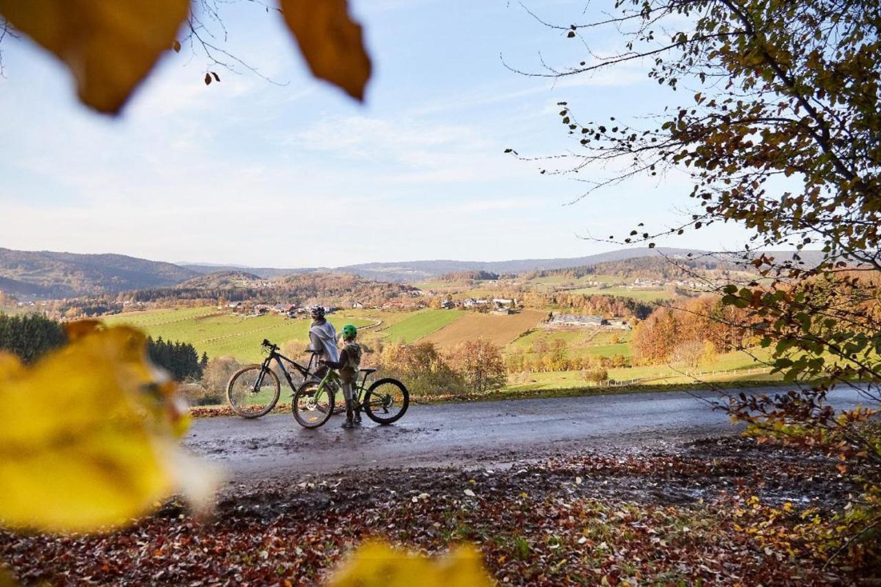 Ferienwohnungen Wald Und Wiese Waldkirchen Extérieur photo